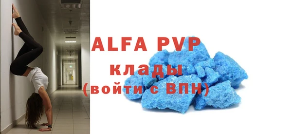 шишки Белоозёрский