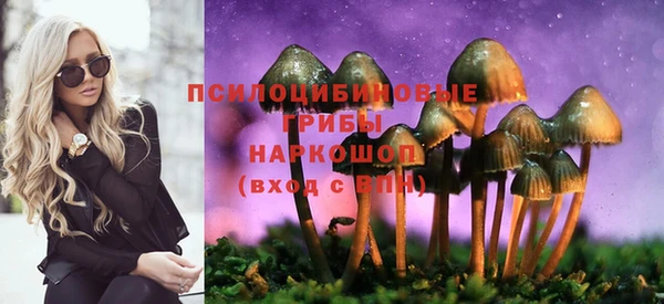 шишки Белоозёрский