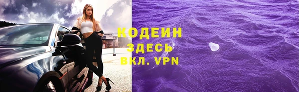 шишки Белоозёрский
