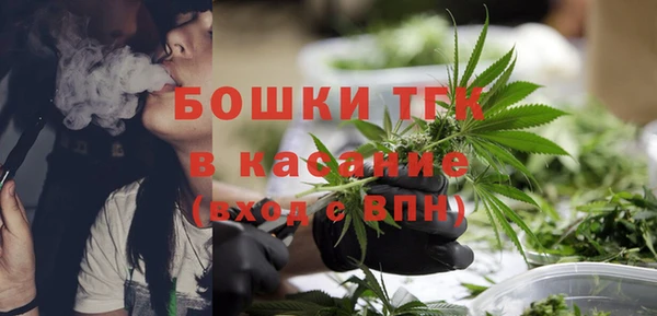 шишки Белоозёрский