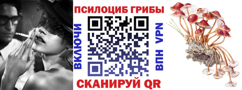 Купить  Алупка  Псилоцибиновые грибы прущие грибы 